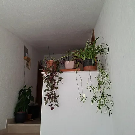 Apartament Mama Rogoznica (Sibenik-Knin)